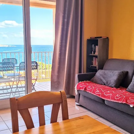 Banyuls-sur-mer, T2 Avec Wifi Et Parking - Fr-1-309-30 Banyuls-sur-Mer