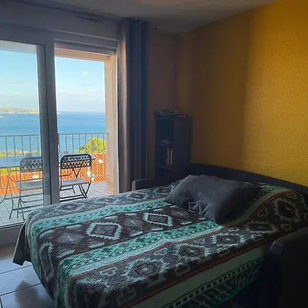 Banyuls-sur-mer, T2 Wifi, Ascenseur - Fr-1-309-30 *