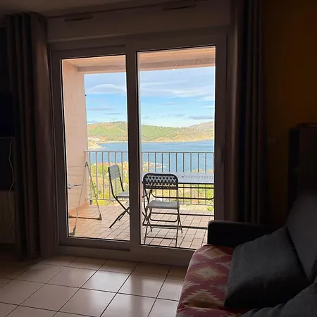 Banyuls-sur-mer, T2 Wifi, Ascenseur - Fr-1-309-30